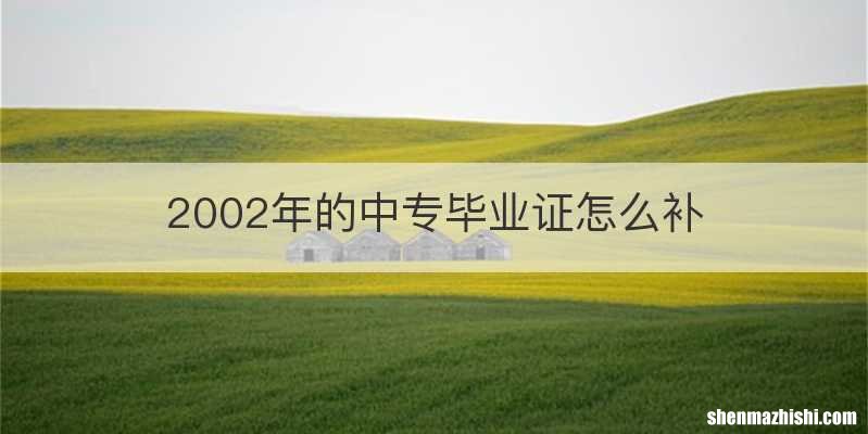 2002年的中专毕业证怎么补