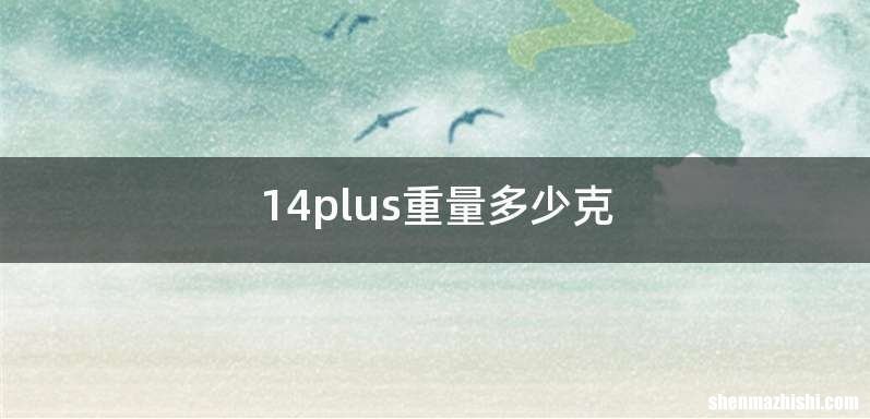 14plus重量多少克