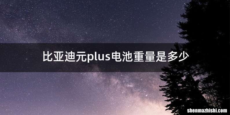 比亚迪元plus电池重量是多少