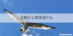 无羁什么意思是什么