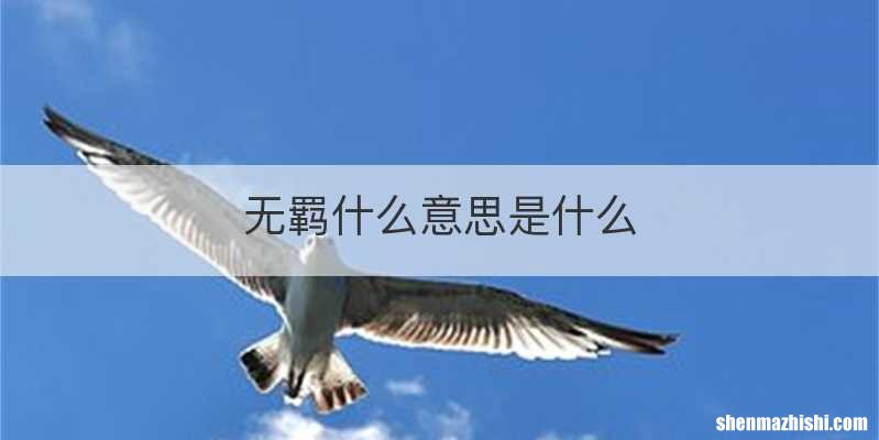 无羁什么意思是什么