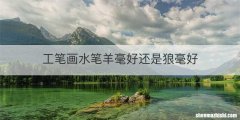 工笔画水笔羊毫好还是狼毫好