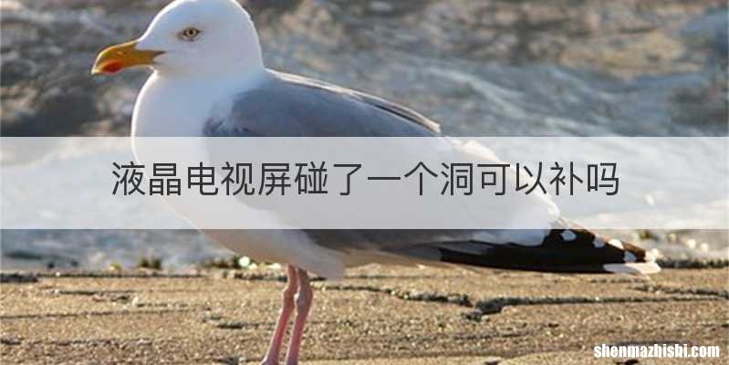 液晶电视屏碰了一个洞可以补吗