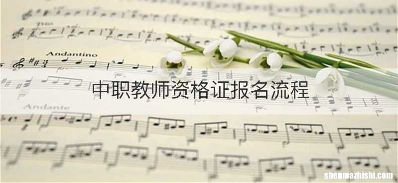 中职教师资格证报名流程