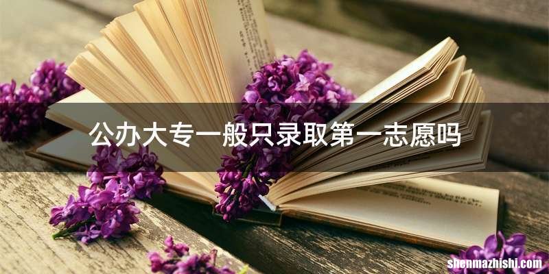 公办大专一般只录取第一志愿吗