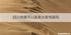 四川传媒可以画黑白装饰画吗