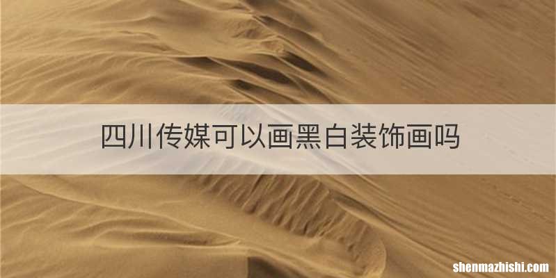 四川传媒可以画黑白装饰画吗
