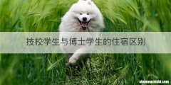 技校学生与博士学生的住宿区别