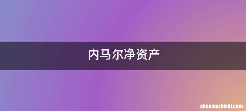 内马尔净资产