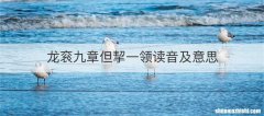 龙衮九章但挈一领读音及意思