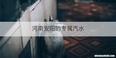 河南安阳的专属汽水
