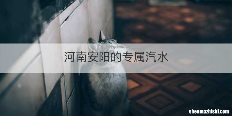 河南安阳的专属汽水