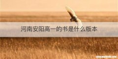 河南安阳高一的书是什么版本