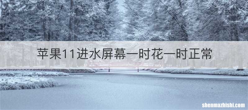 苹果11进水屏幕一时花一时正常