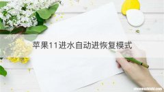 苹果11进水自动进恢复模式