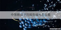 中等教育学历报告编号怎么看