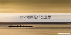 b1d驾照是什么意思