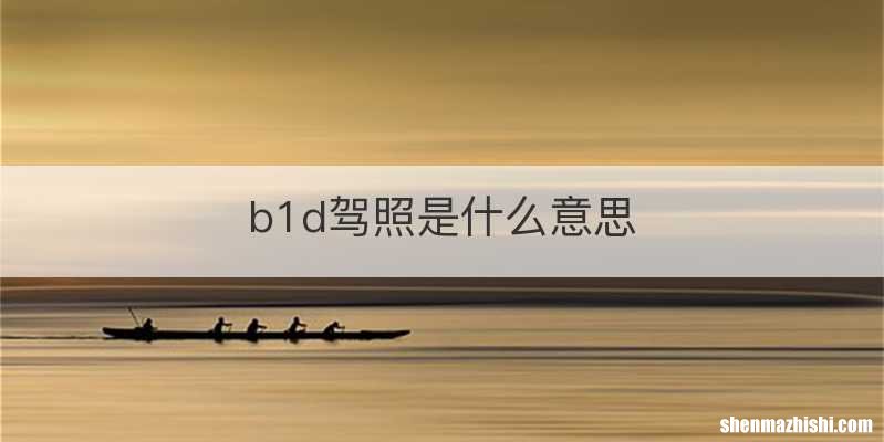 b1d驾照是什么意思