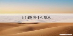 b1d驾照什么意思