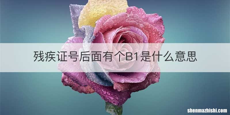 残疾证号后面有个B1是什么意思