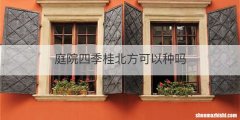 庭院四季桂北方可以种吗