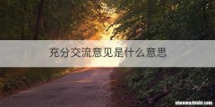 充分交流意见是什么意思