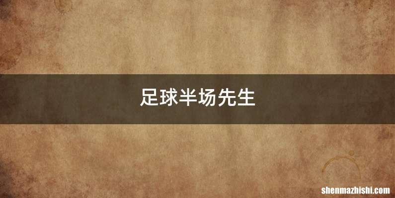 足球半场先生