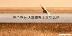 三个充分认清和五个深刻认识