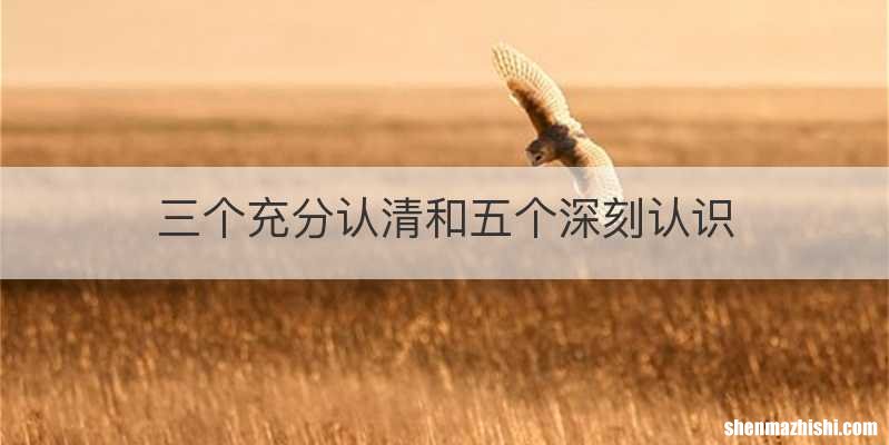 三个充分认清和五个深刻认识