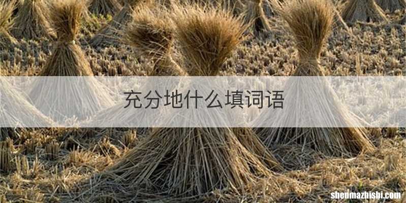 充分地什么填词语