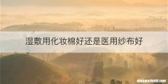 湿敷用化妆棉好还是医用纱布好