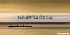 药品追溯码查询怎么查