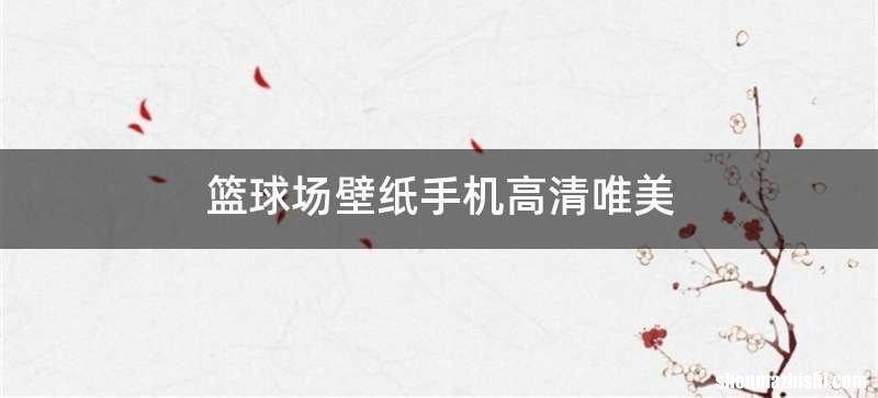 篮球场壁纸手机高清唯美