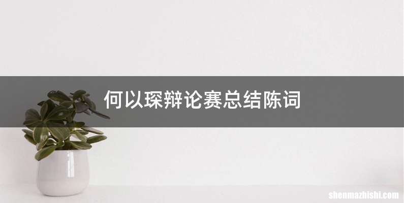 何以琛辩论赛总结陈词