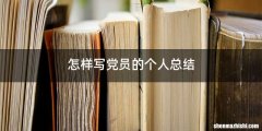 怎样写党员的个人总结