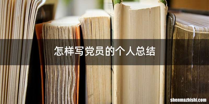 怎样写党员的个人总结