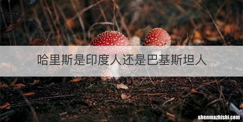 哈里斯是印度人还是巴基斯坦人