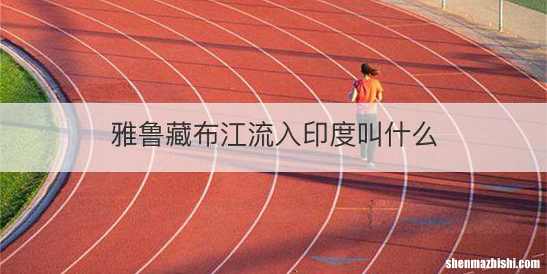 雅鲁藏布江流入印度叫什么