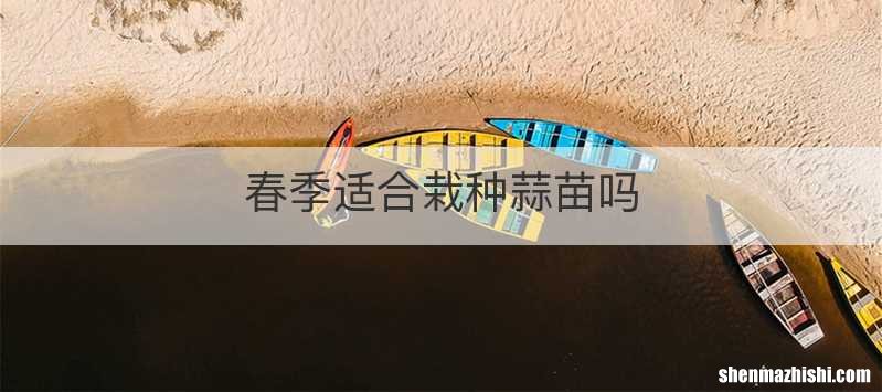 春季适合栽种蒜苗吗