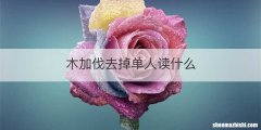 木加伐去掉单人读什么