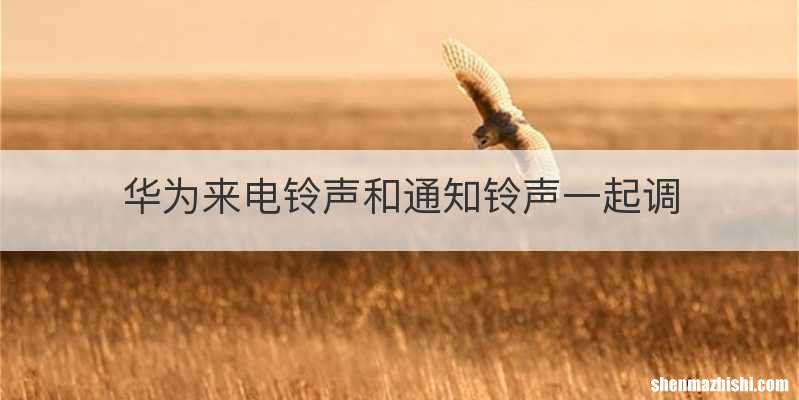 华为来电铃声和通知铃声一起调