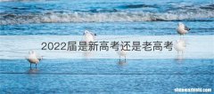 2022届是新高考还是老高考