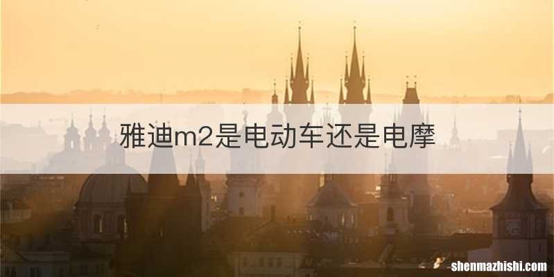 雅迪m2是电动车还是电摩