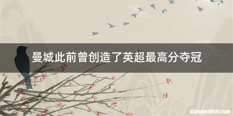 曼城此前曾创造了英超最高分夺冠