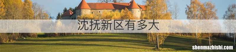 沈抚新区有多大