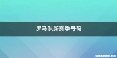 罗马队新赛季号码