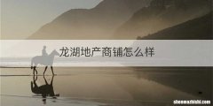 龙湖地产商铺怎么样