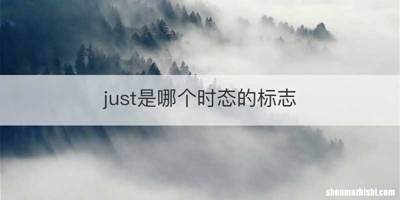 just是哪个时态的标志