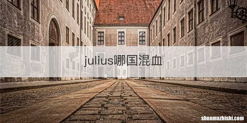 julius哪国混血