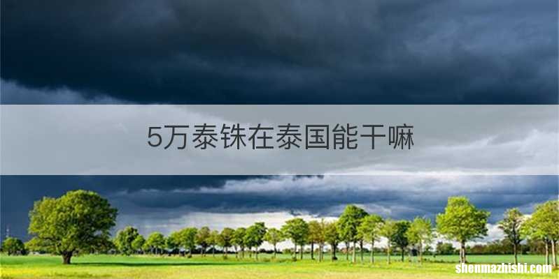 5万泰铢在泰国能干嘛